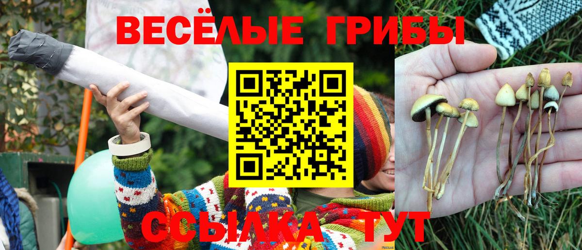 Калач-на-Дону  цена наркотик  Вход с VPN  Галлюциногенные грибы Psilocybine cubensis 
