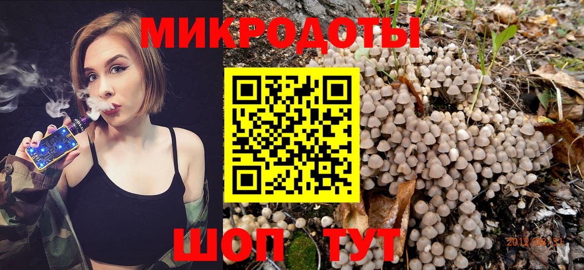 Галлюциногенные грибы прущие грибы Калач-на-Дону